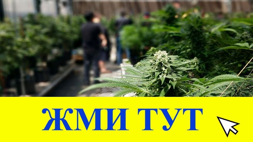 Купить наркотики в Истре